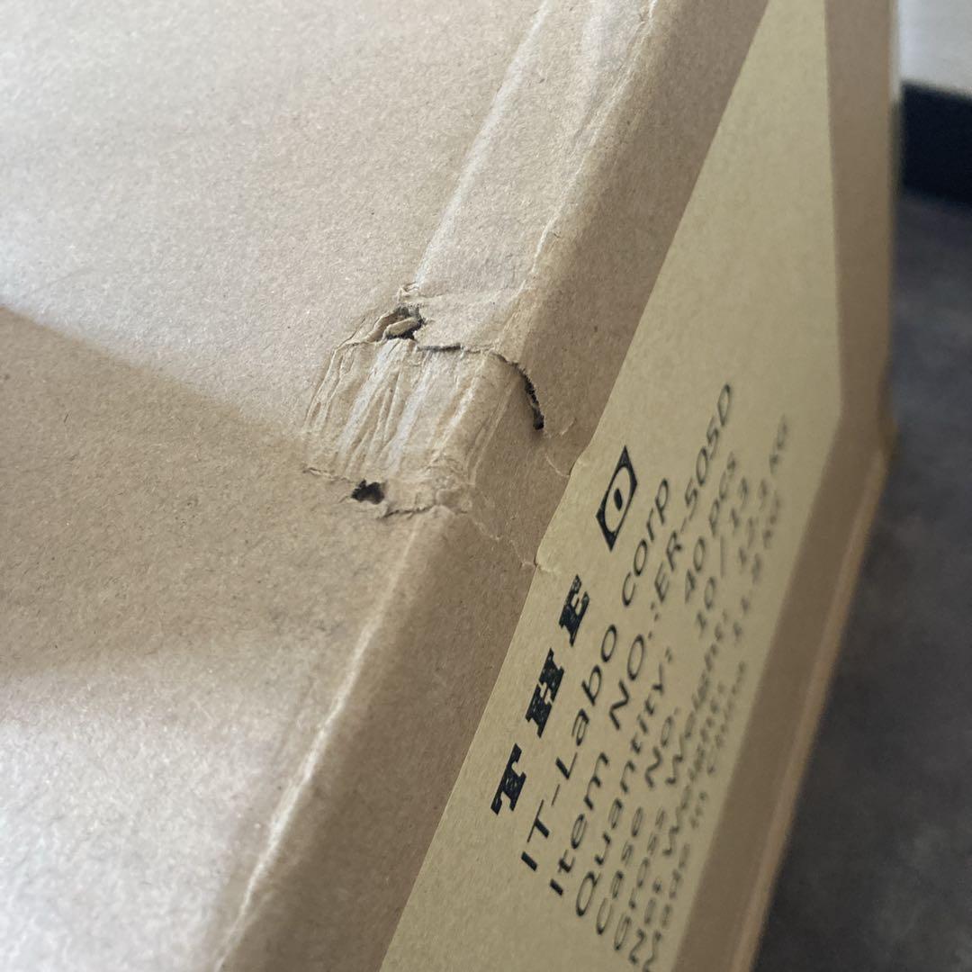 未開封 THE 0 スピーカー IN TWSイヤホン ER-505D 40セット