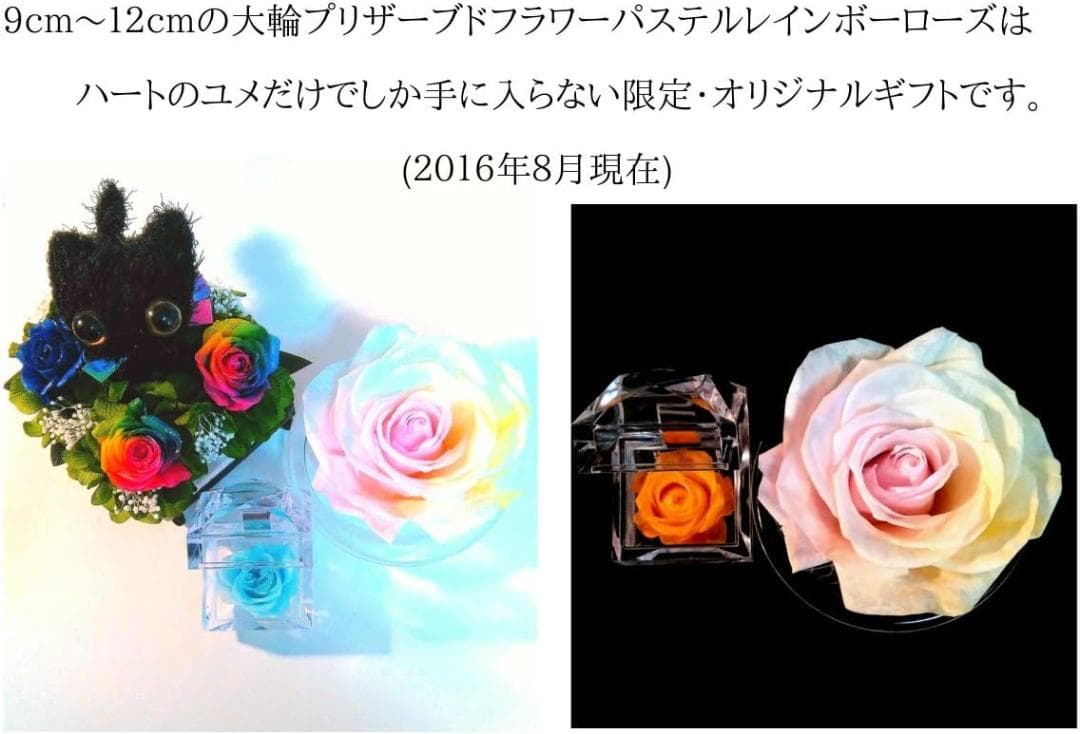 【高級プリザーブドフラワー】大輪バラ　 レインボーローズ フレーム ブラウン