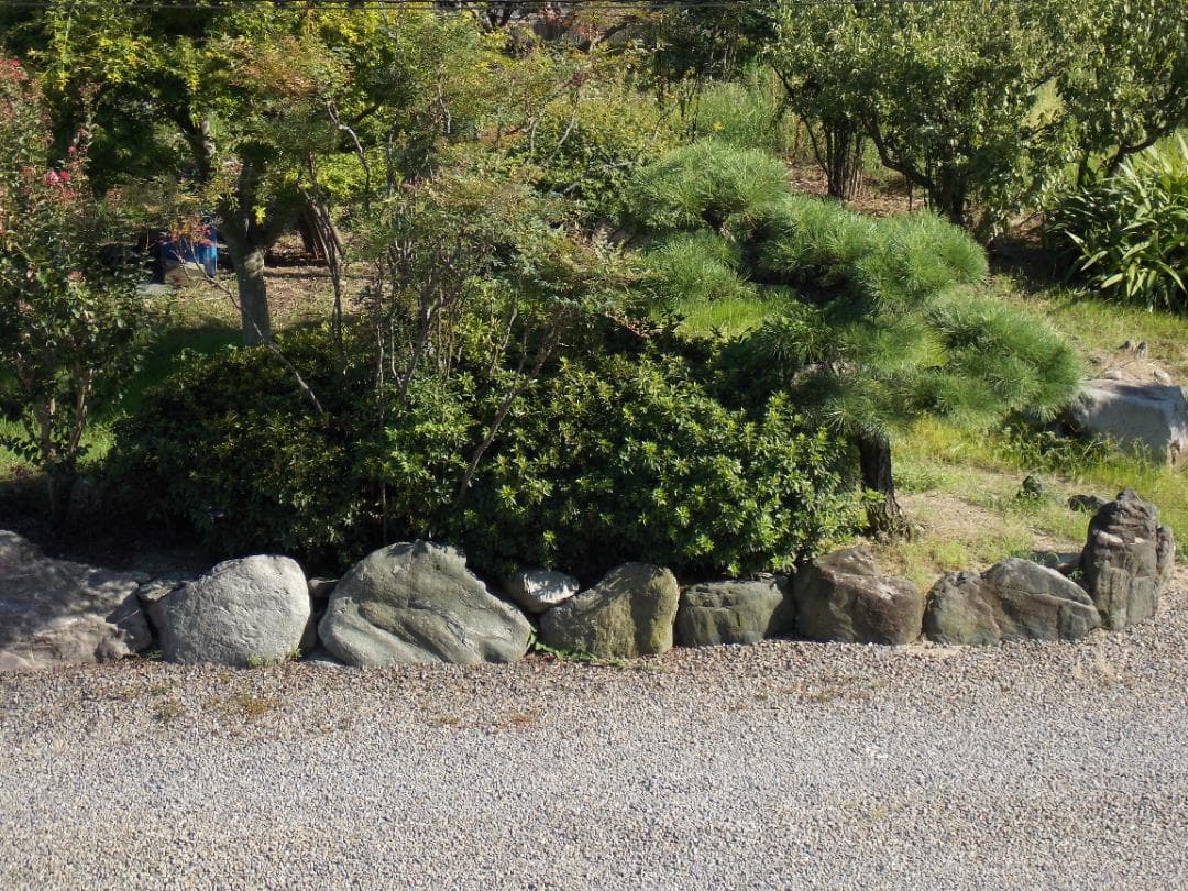 美品 撮影画像あり　動作良好　Nikon　COOLPIX　L810　光学26倍