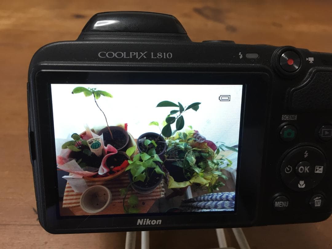 美品 撮影画像あり　動作良好　Nikon　COOLPIX　L810　光学26倍