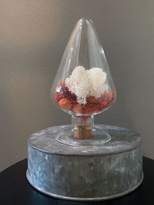 アンティーク ガラス コルク 水槽 フラワーベース 三角形 △