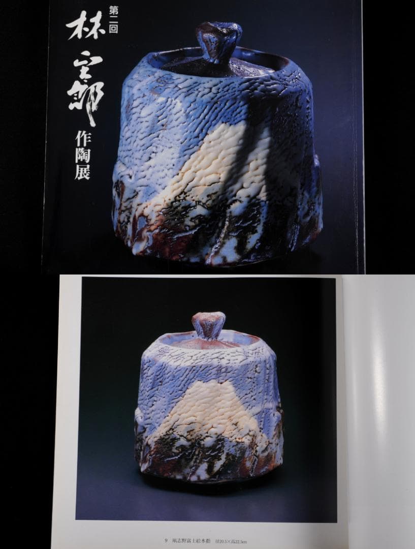 林正太郎 鼡志野 富士絵 水指 共箱 掲載個展図録添（表紙掲載） 正神窯