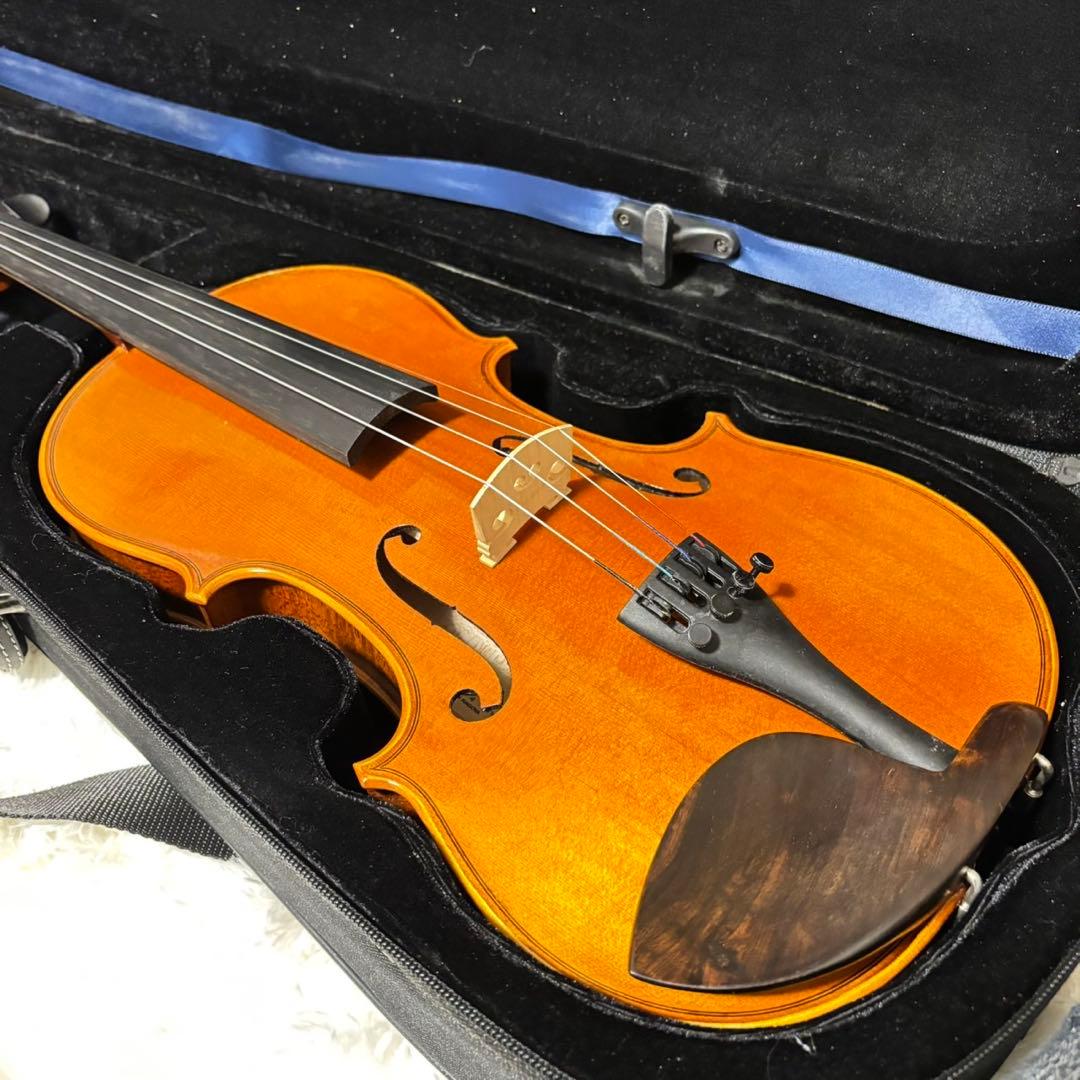 【高年式美品】スズキ No.246 4/4 虎杢 ANNO2020 バイオリン