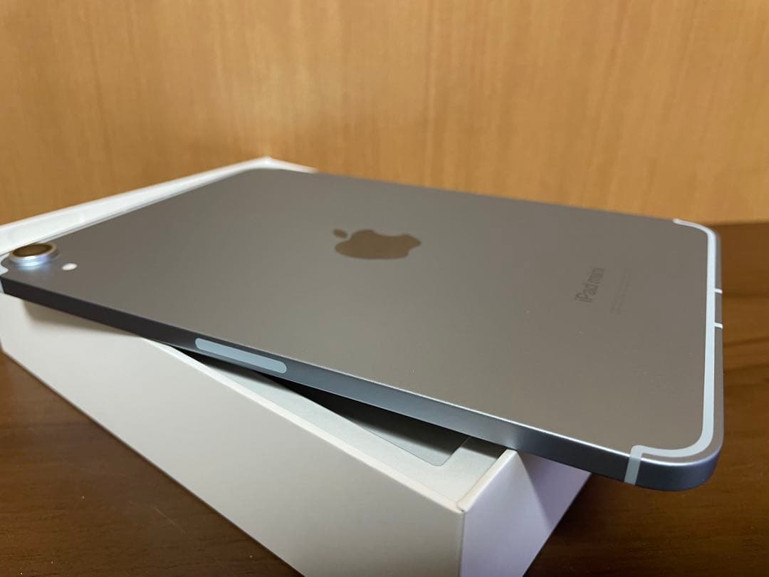 極美品iPad mini (第7世代) 256 Wi-Fi + Cellular