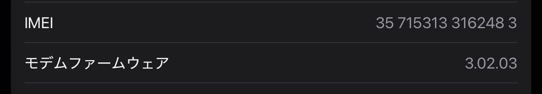 極美品iPad mini (第7世代) 256 Wi-Fi + Cellular