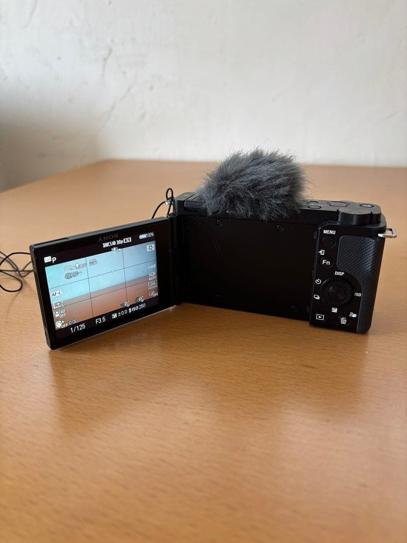 【panda5656様用】VLOGCAM ZV-E10 ブラック レンズ付