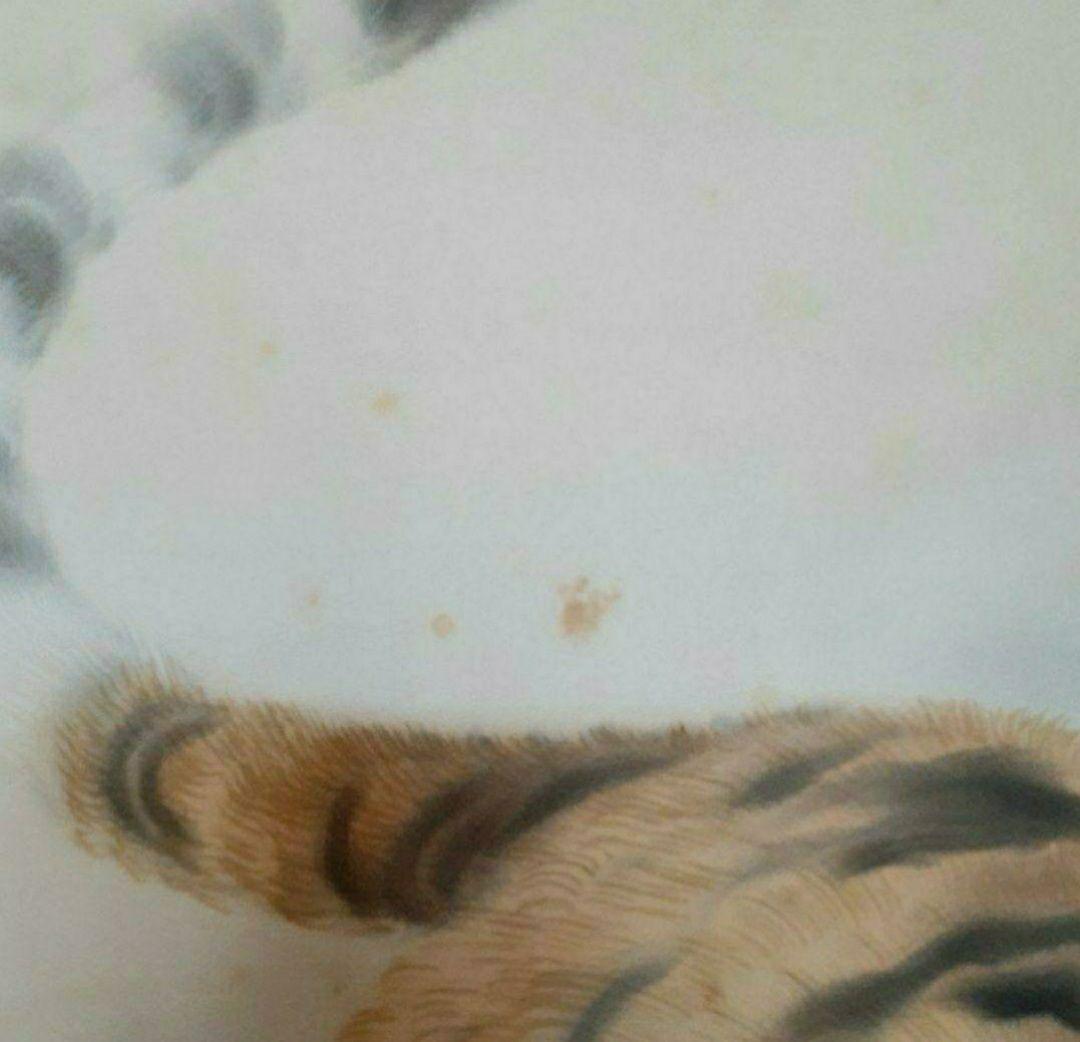 掛け軸/とら/親子？