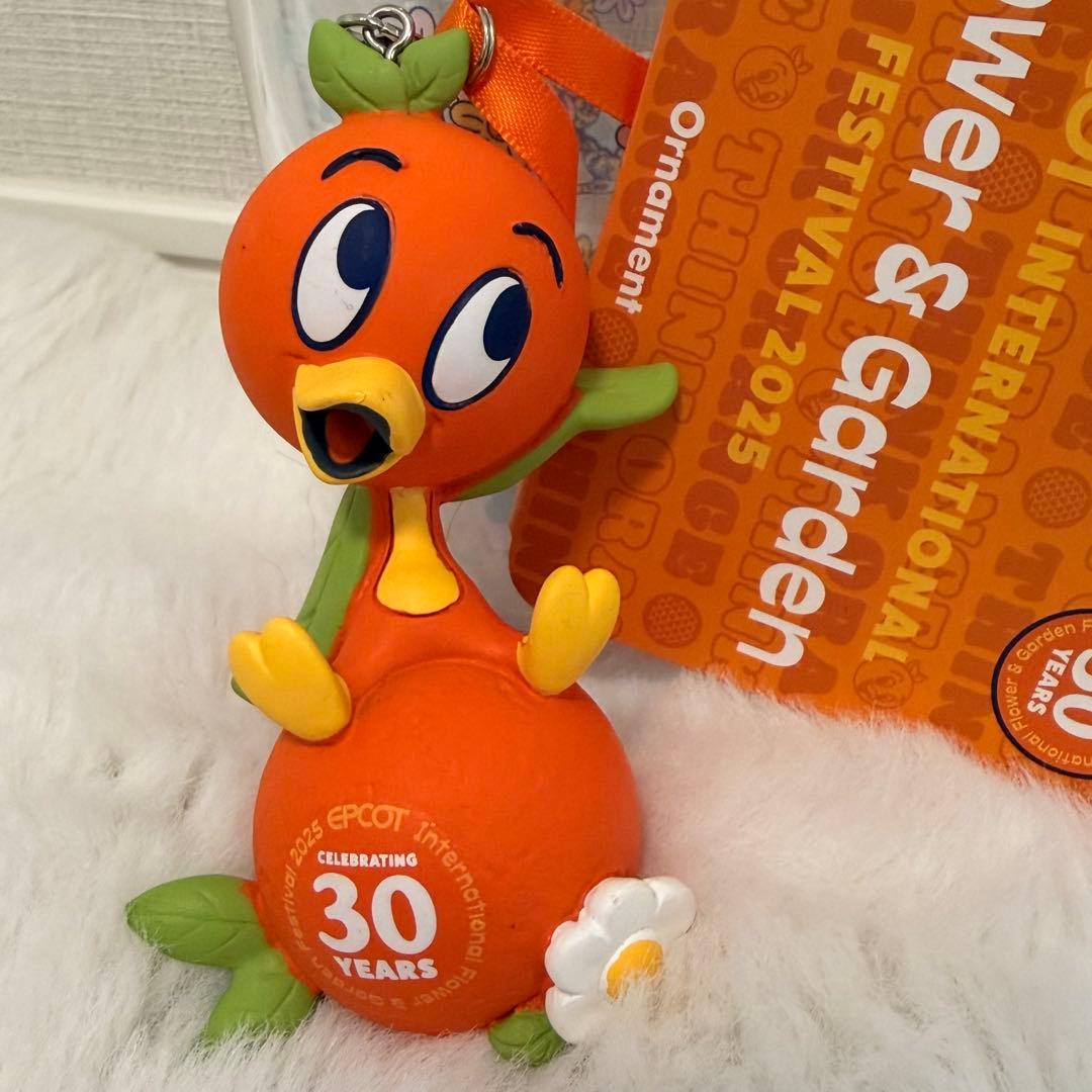 〈激レア〉エプコット30周年　イベント　グッズ
