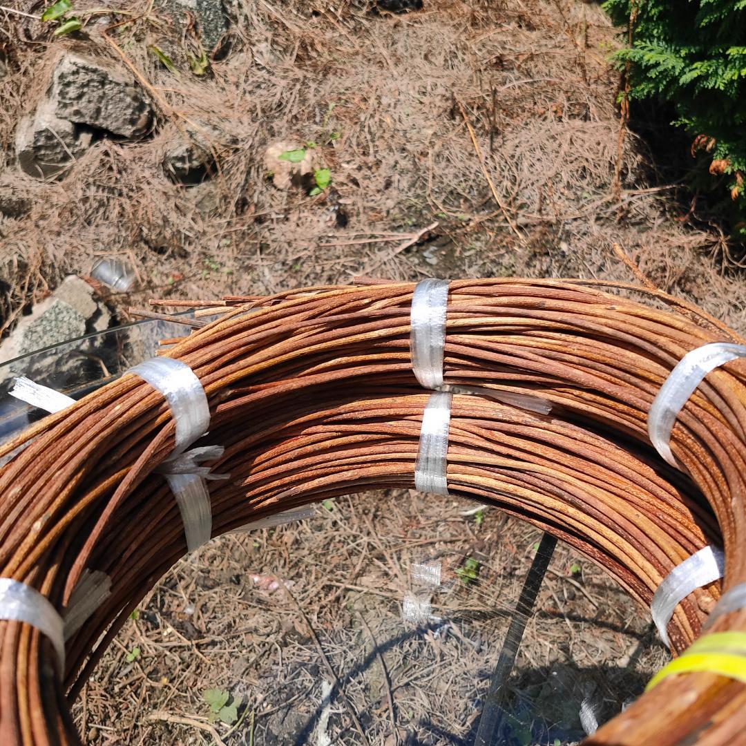 青森県岩木山採取　あけび蔓　70cm～150cm　1kg