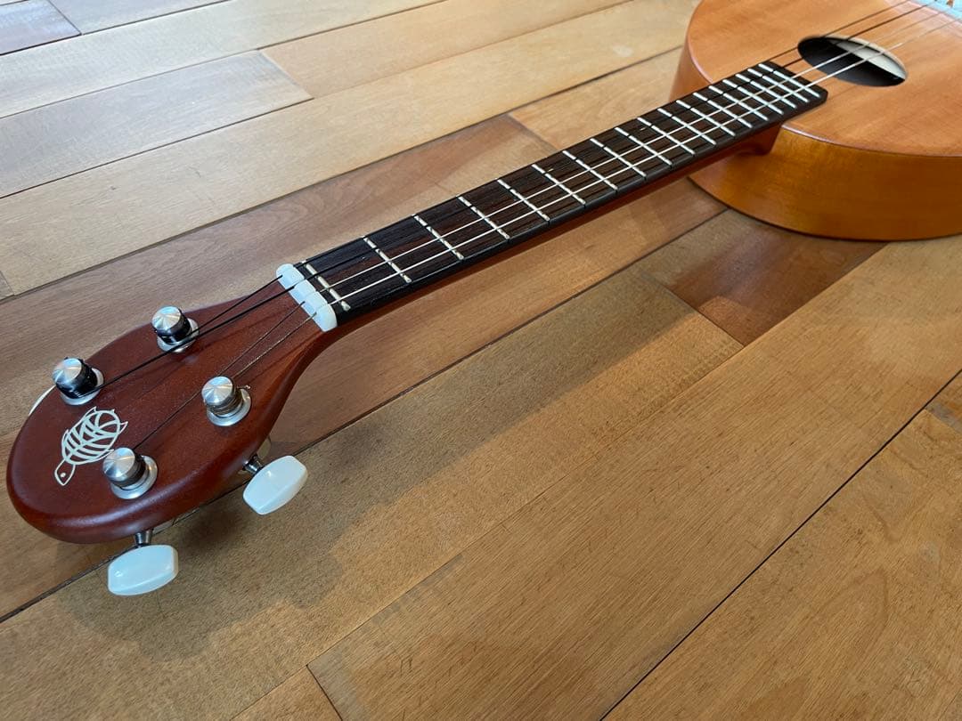 【美品】ヤイリギター　一五一会　カナイ　K.Yairi 奏生