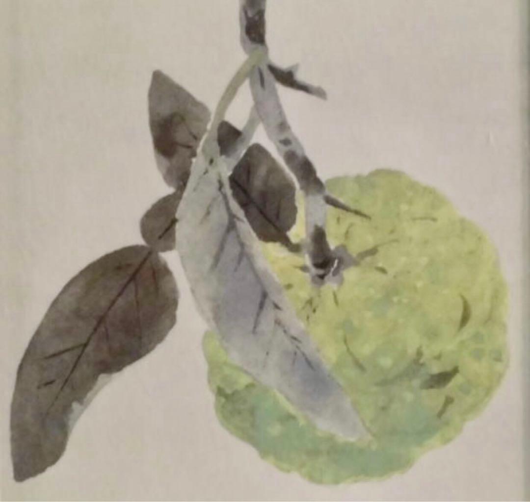 間瀬琳一 日本画「果実」額33.5×27.5cm 日展会友 外務省買上作家