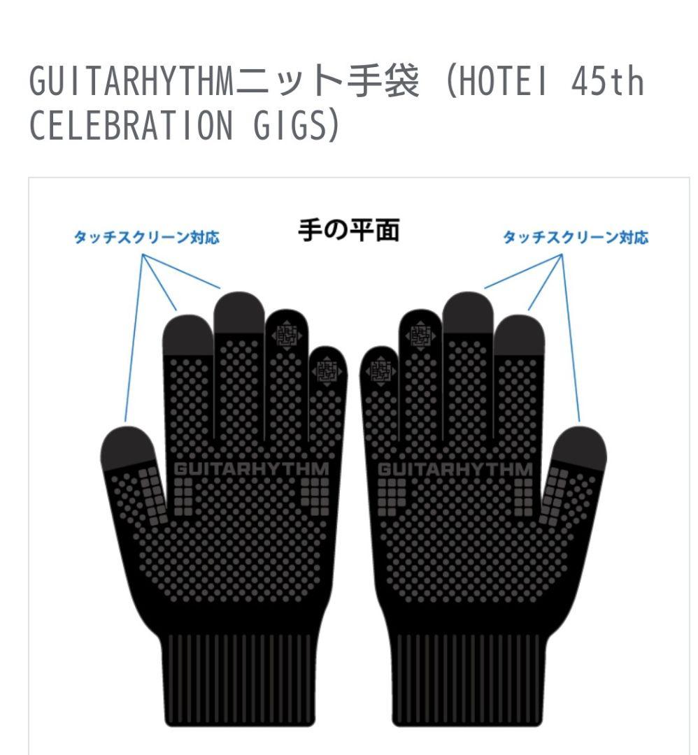 布袋寅泰　手袋　HOTEI 45th CELEBRATION GIGS