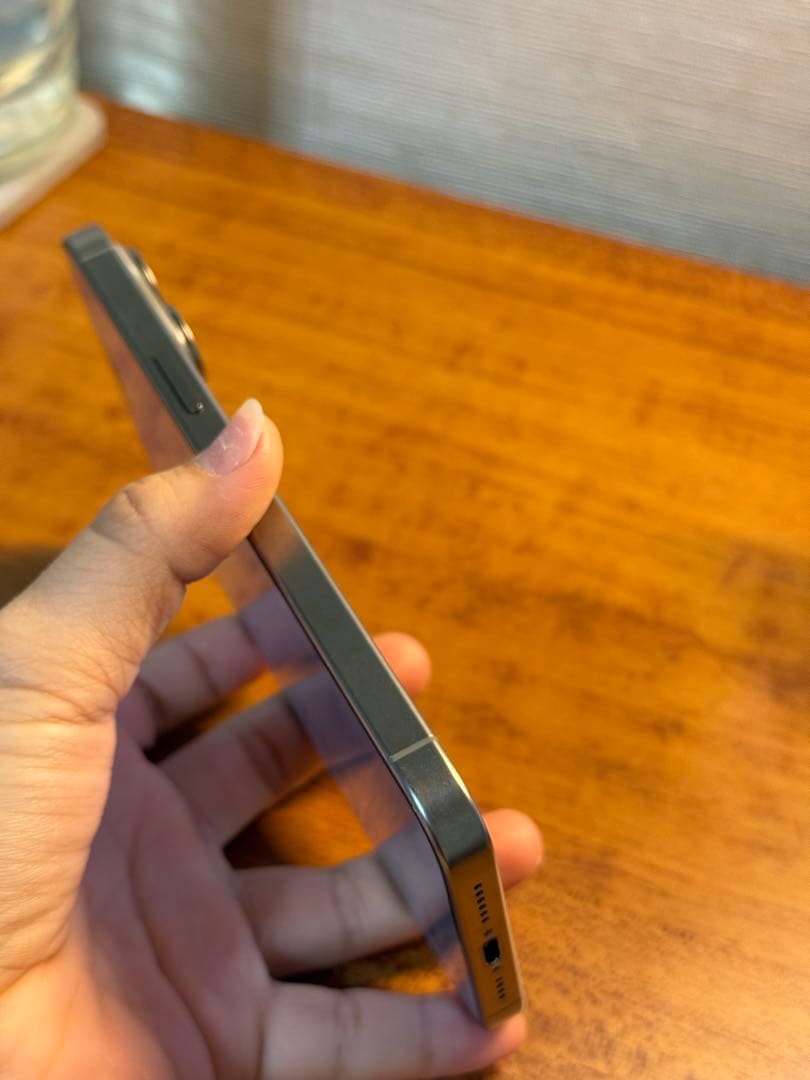 iPhone 15 Pro Max 256GB（SIMフリー）