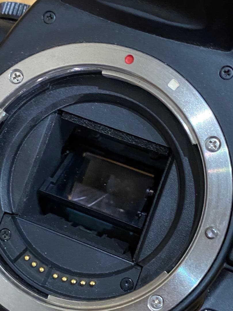 Canon Kiss X1デジタル一眼レフ Sigma28-200 動作品