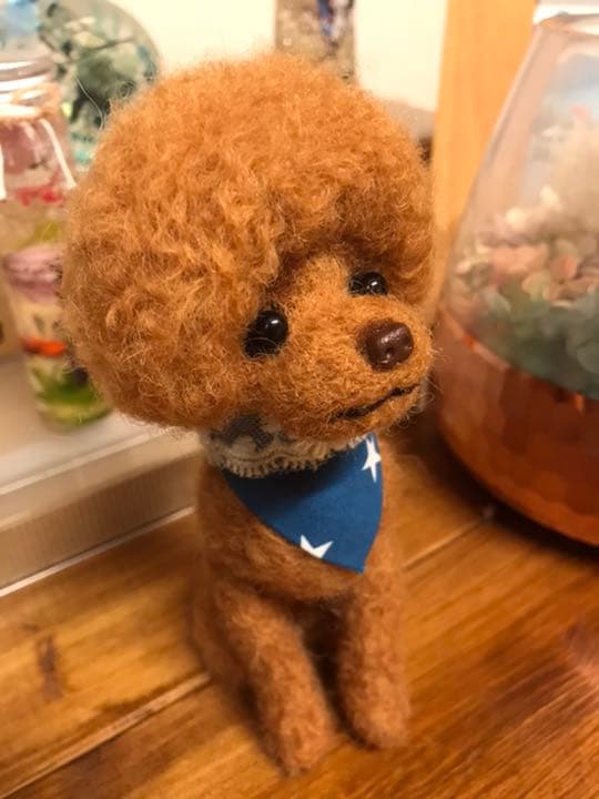 羊毛フェルト　トイプードル(マッシュルームカット)