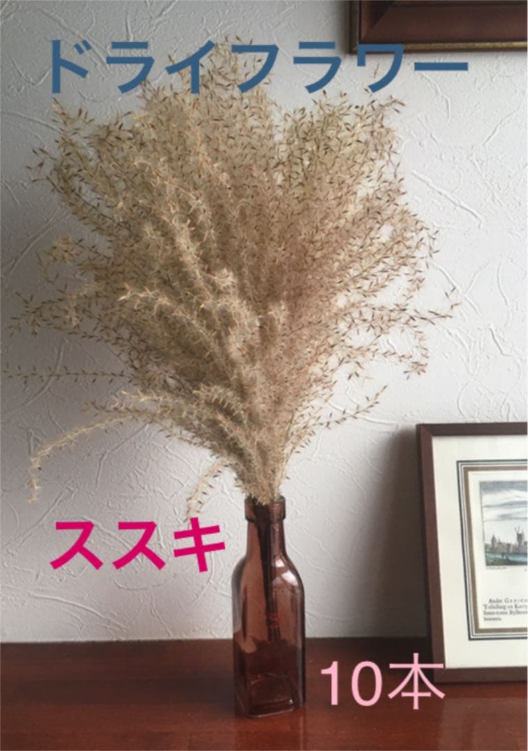 ドライフラワー②ススキ　インテリア