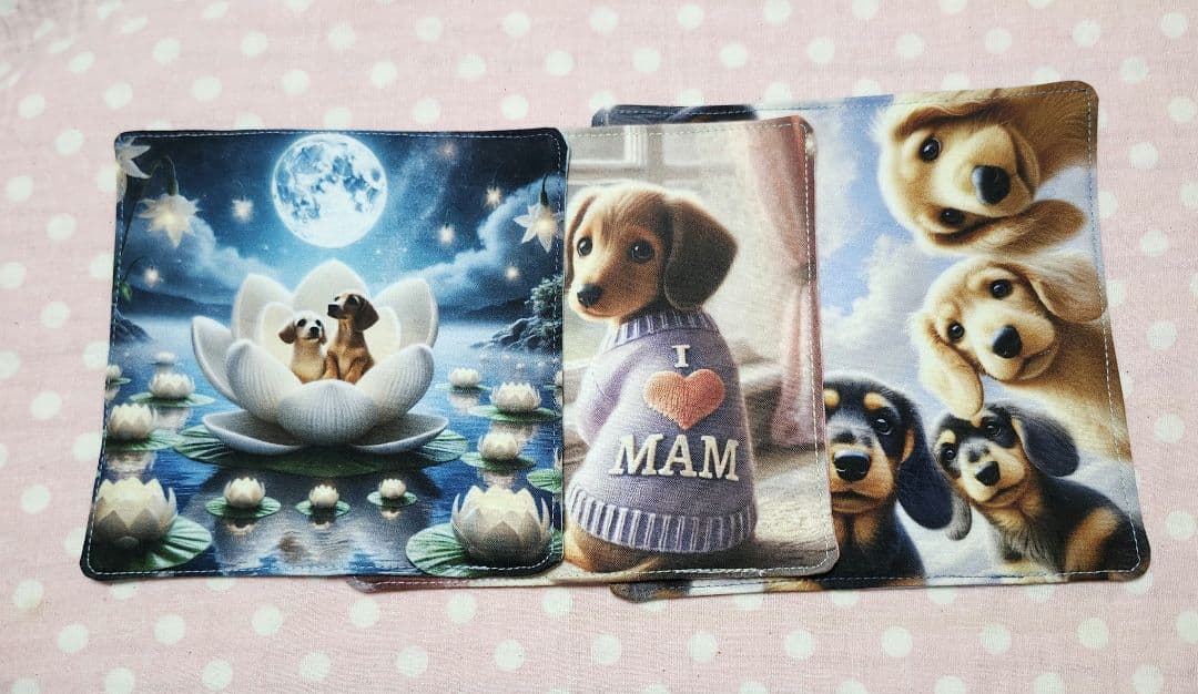 ハニチェリです。