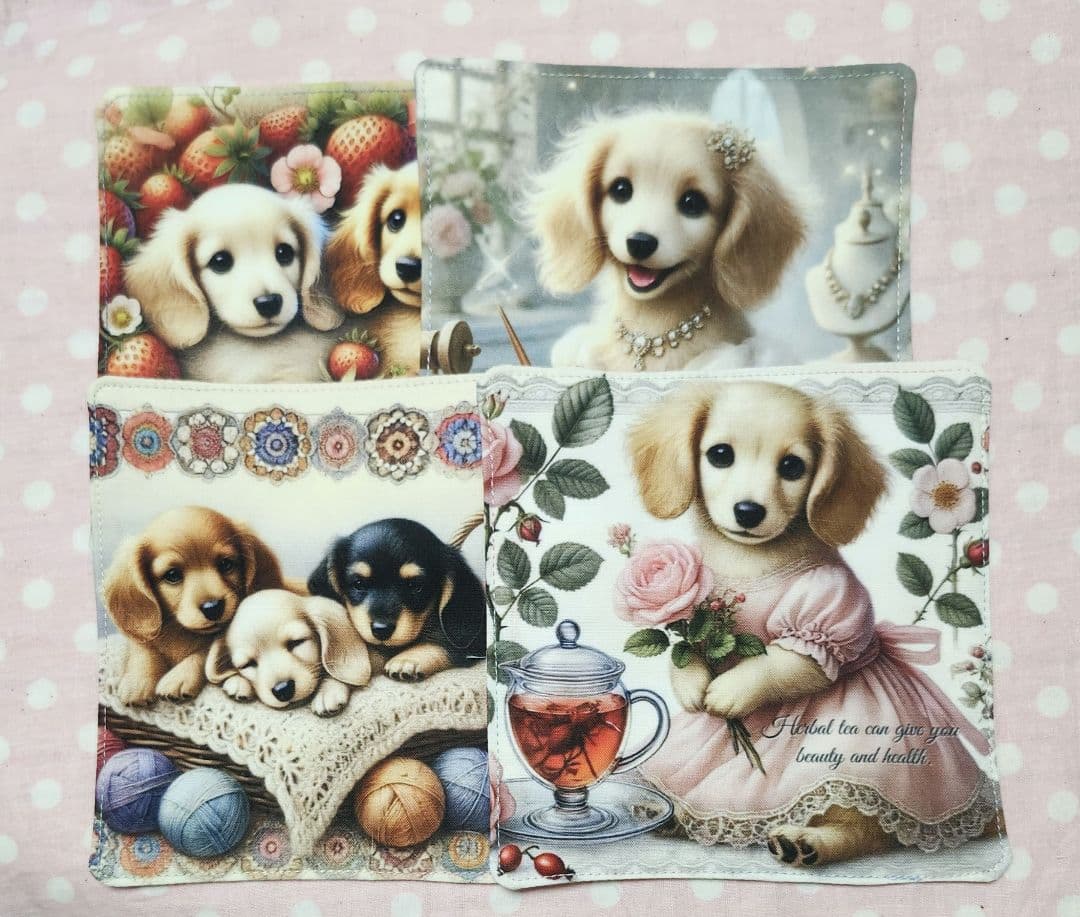 ハニチェリです。