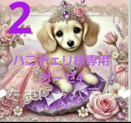 ハニチェリです。