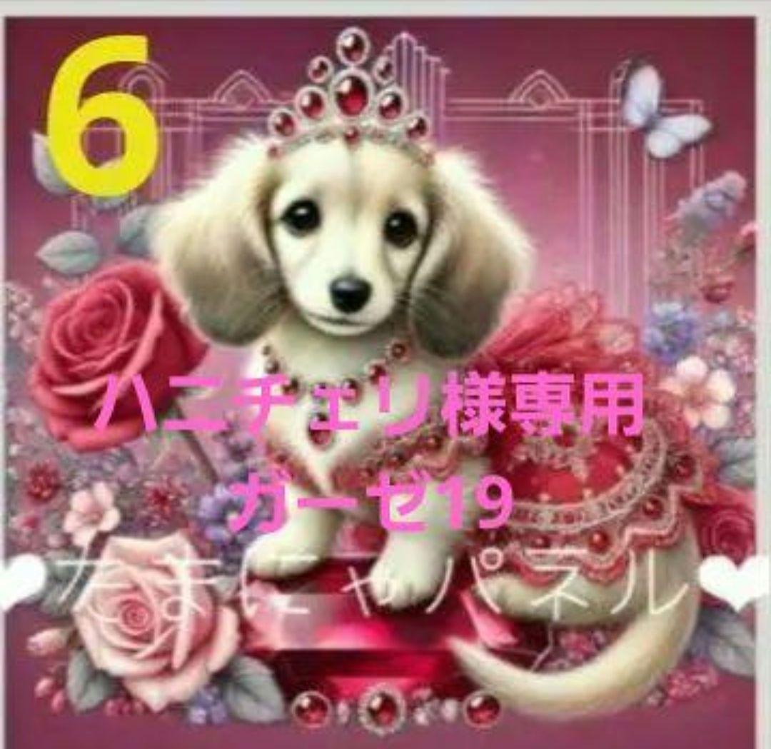 ハニチェリです。