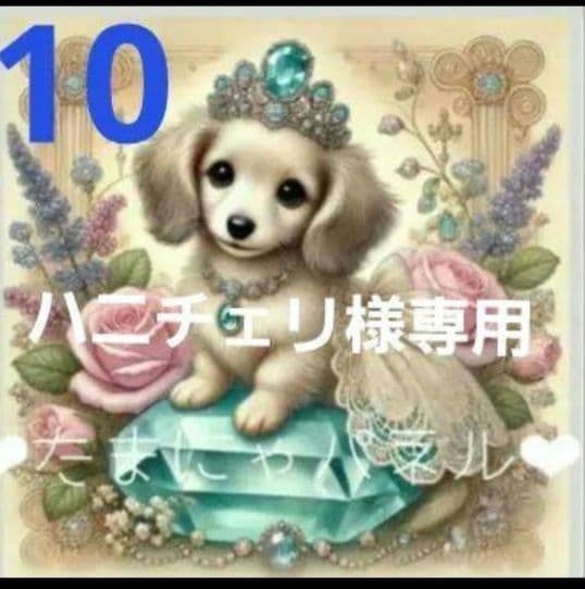 ハニチェリです。