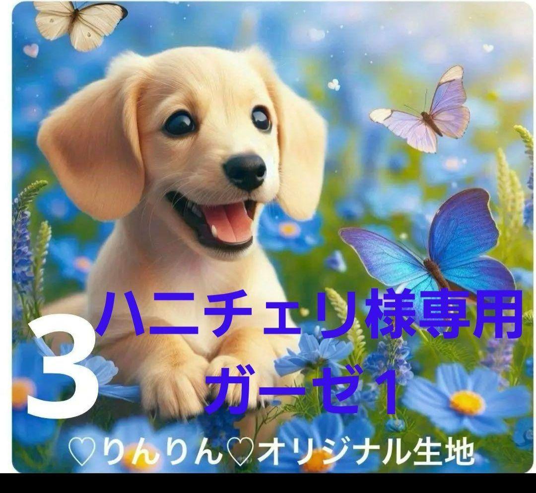 ハニチェリです。