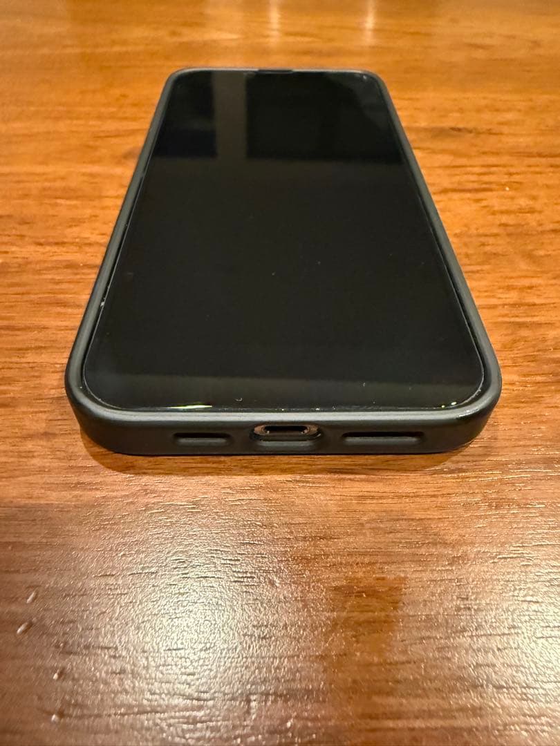 【✨極美品✨】iPhone 13 Pro Max 256GB グラファイト