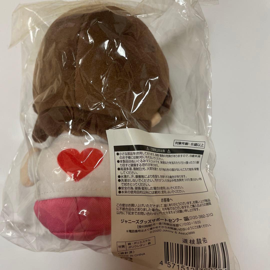 道枝駿佑 ちびぬい