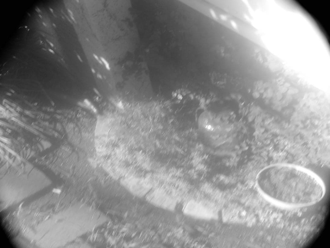 e*a様 HOLGA デジタルカメラ 16GBメモリー、スマホ転送キット付き　作