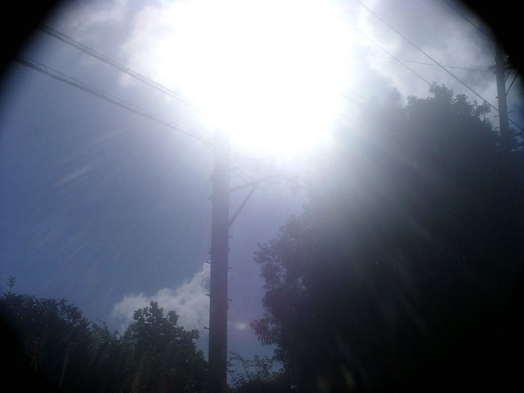 e*a様 HOLGA デジタルカメラ 16GBメモリー、スマホ転送キット付き　作