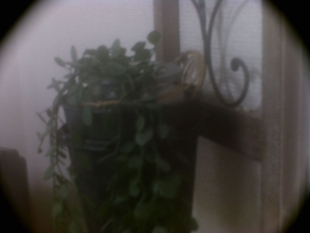 e*a様 HOLGA デジタルカメラ 16GBメモリー、スマホ転送キット付き　作