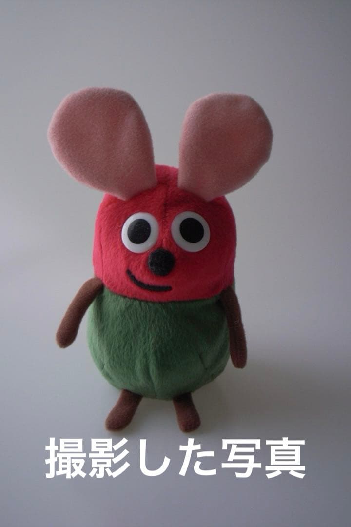 RICOH GR デジタル＋付属品＋別売ワイドコンバーションレンズセット