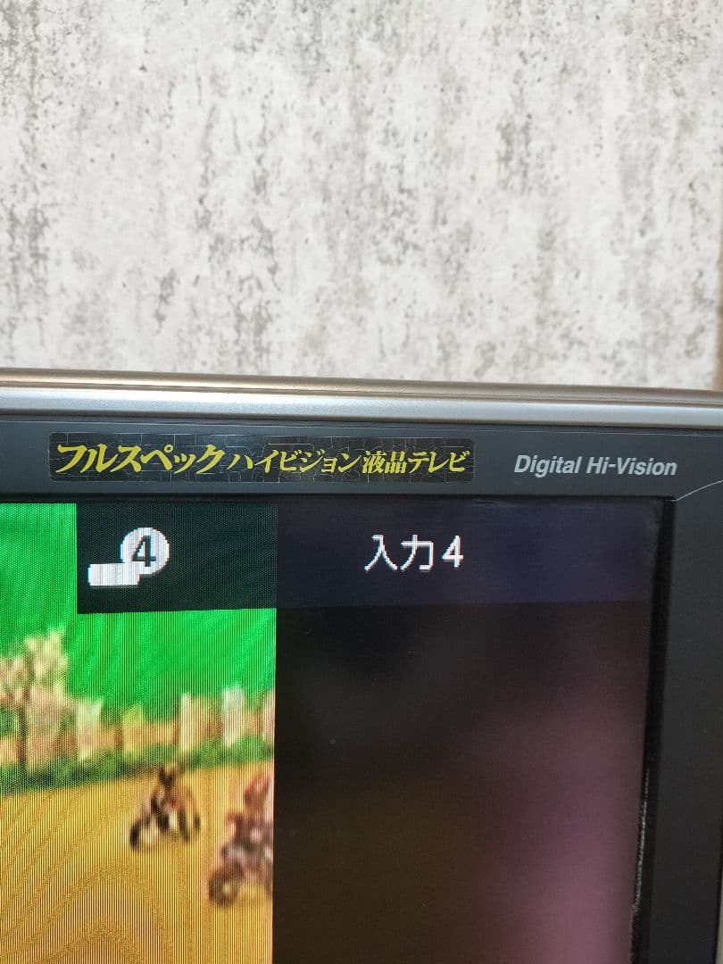 シャープテレビAQUOS LC-46EX5 46型B-CASTカード反応なし