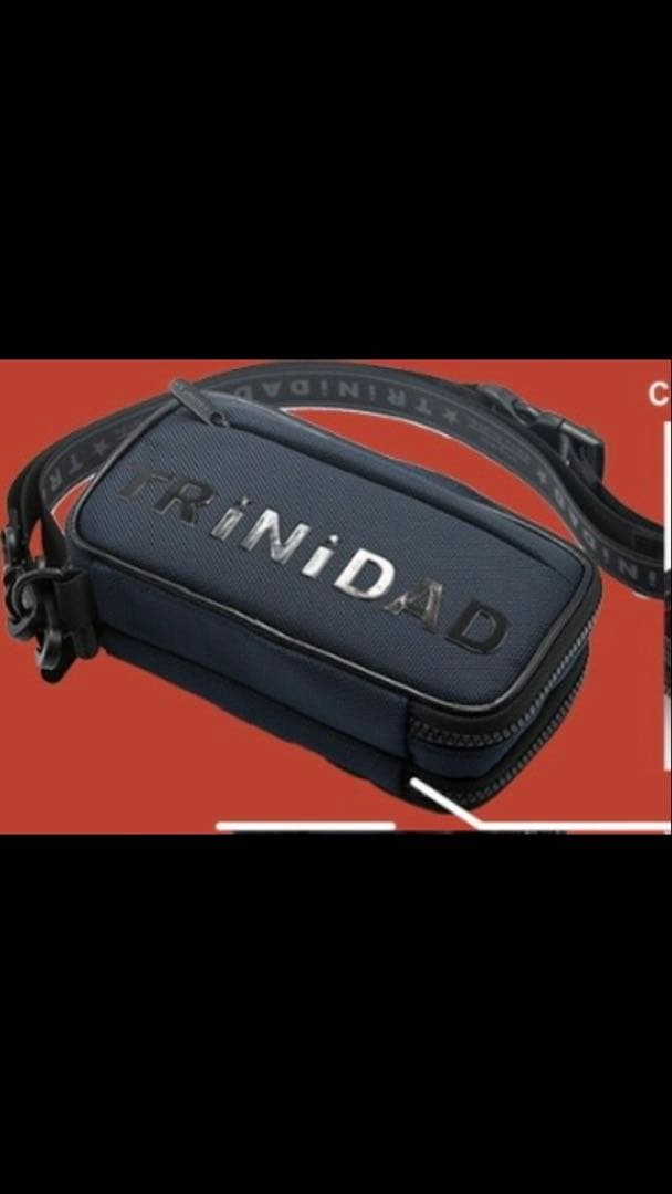 希少！TRiNiDAD KUMA（限定カラー）　ダーツケース　クマ