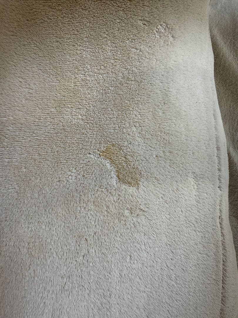 ニトリ　しろくま　抱き枕　パパ　NITORI