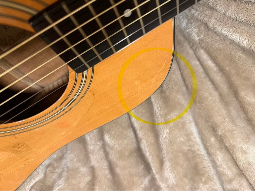 Ibanez パフォーマンスシリーズ エレアコ アイバニーズ アコギ