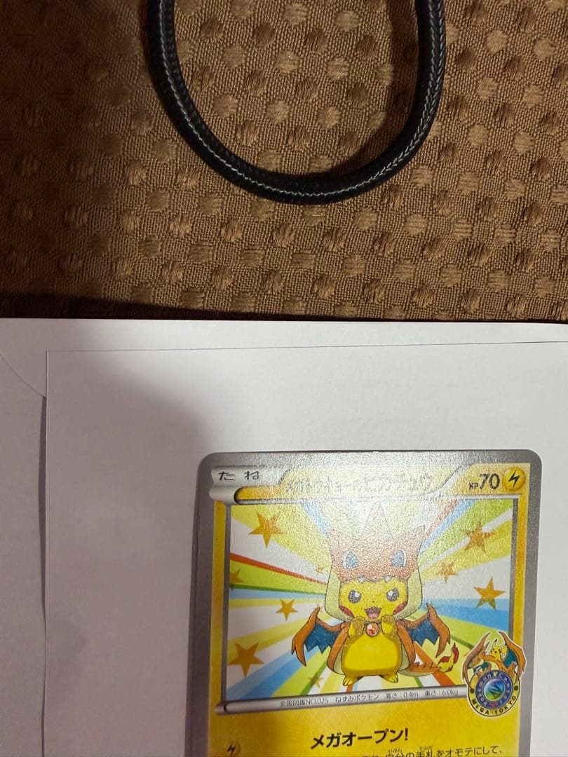 T*i様 メガトウキョーのピカチュウ