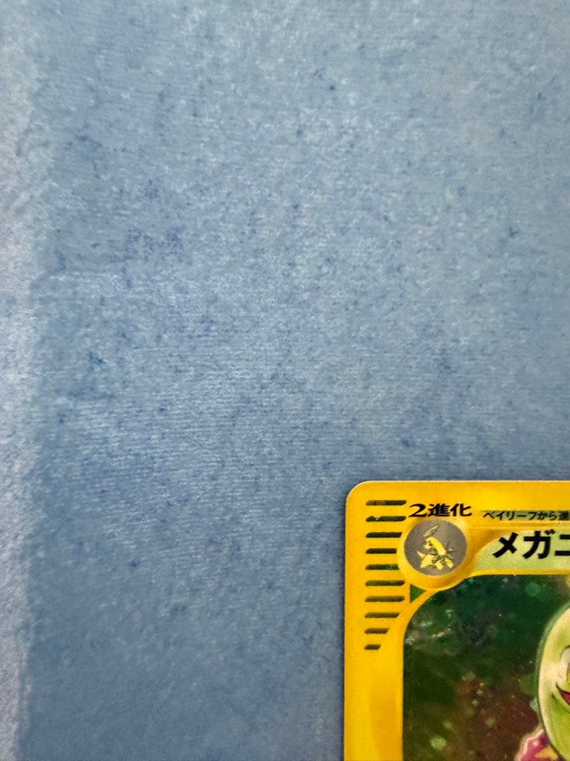 メガニウム　102/108 1ED ホロ　ポケモンカードe