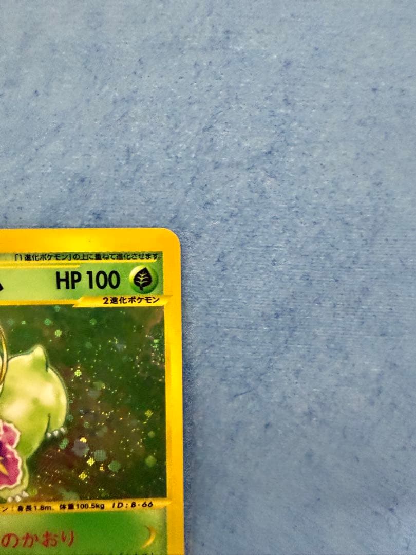 メガニウム　102/108 1ED ホロ　ポケモンカードe