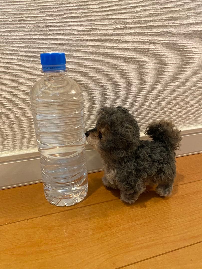 アートドール　ヨークシャテリア