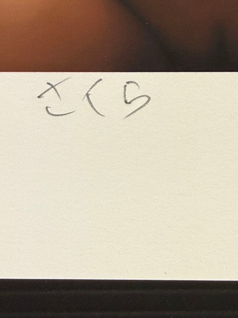 【真作保証】　『HIROSHI SATO作』　EDナンバー サイン 作品名有11