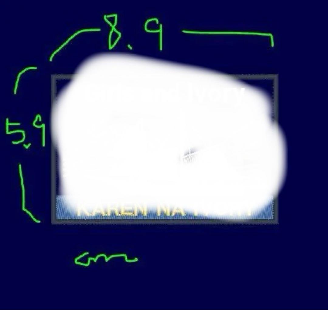 オリジナル　ベルクロタイプ各一枚