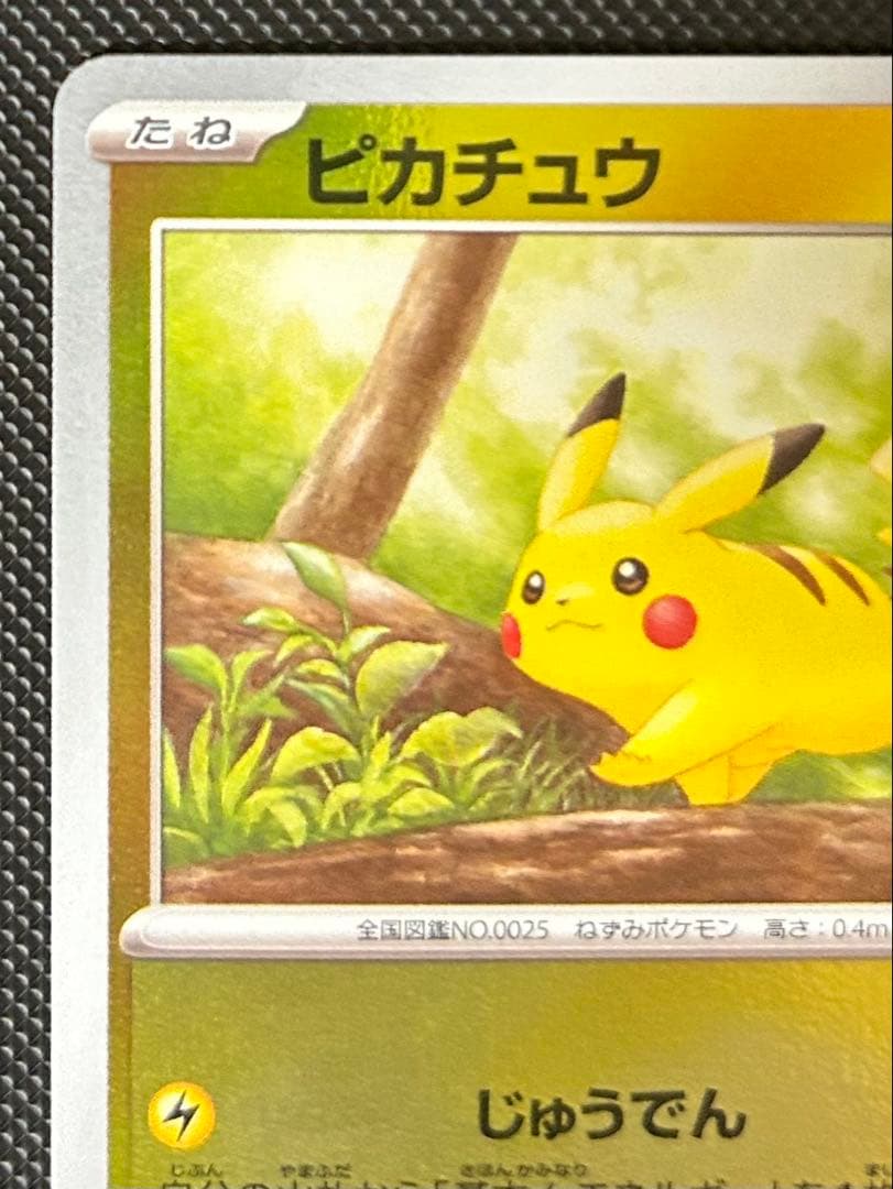 ピカチュウ　マスターボール　モンスターボール　エラー　ボール柄なし