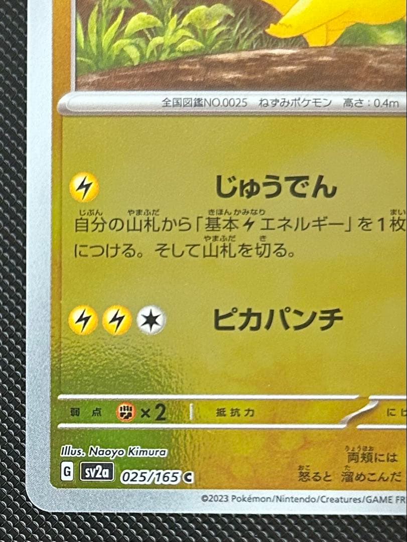 ピカチュウ　マスターボール　モンスターボール　エラー　ボール柄なし