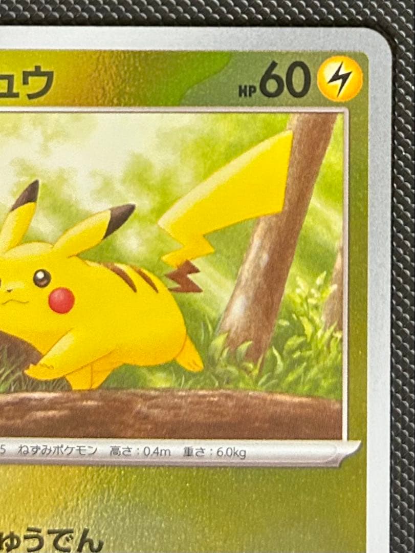 ピカチュウ　マスターボール　モンスターボール　エラー　ボール柄なし