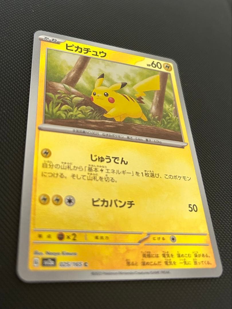 ピカチュウ　マスターボール　モンスターボール　エラー　ボール柄なし