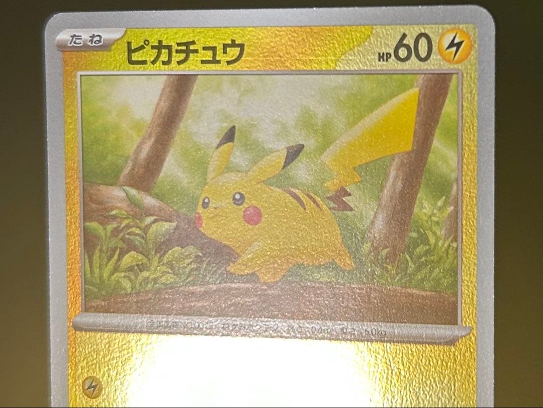 ピカチュウ　マスターボール　モンスターボール　エラー　ボール柄なし