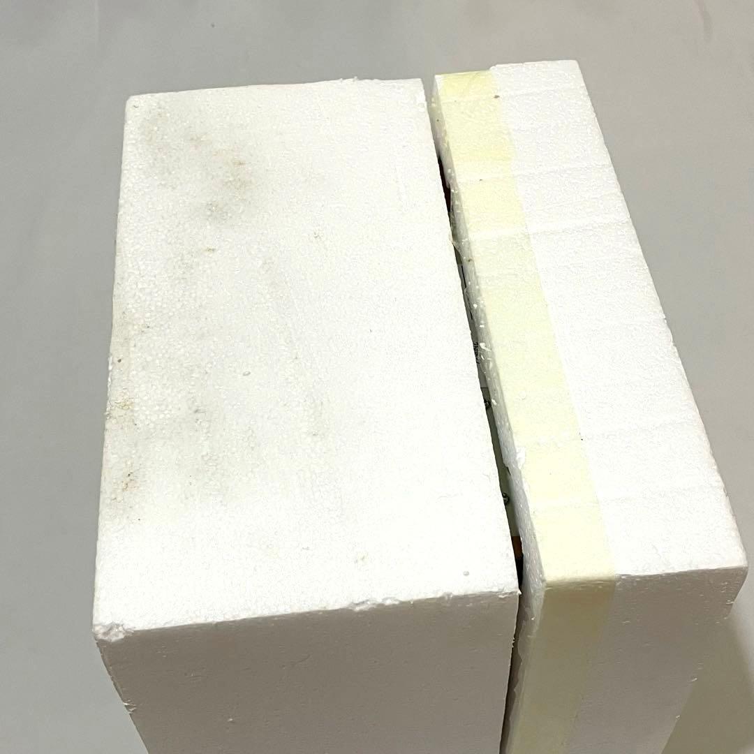 ディズニー　ミッキーマウスクラブ　スノードーム/スノーグローブ　オルゴール付き