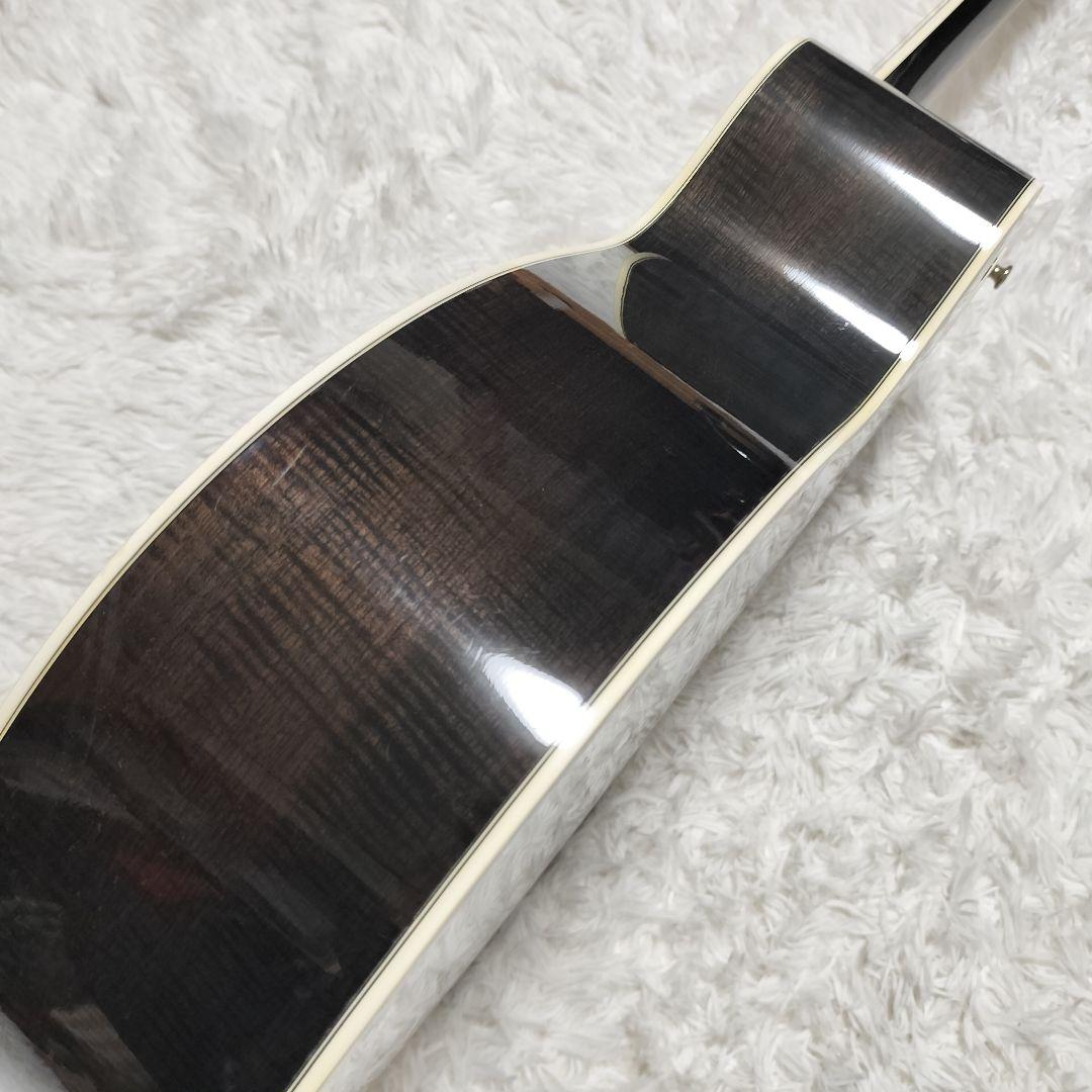 ギター TAKAMINE TRE110 SBL SEE THROUGH BLACK