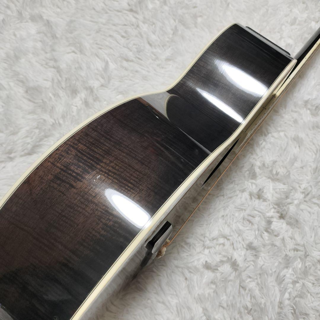 ギター TAKAMINE TRE110 SBL SEE THROUGH BLACK